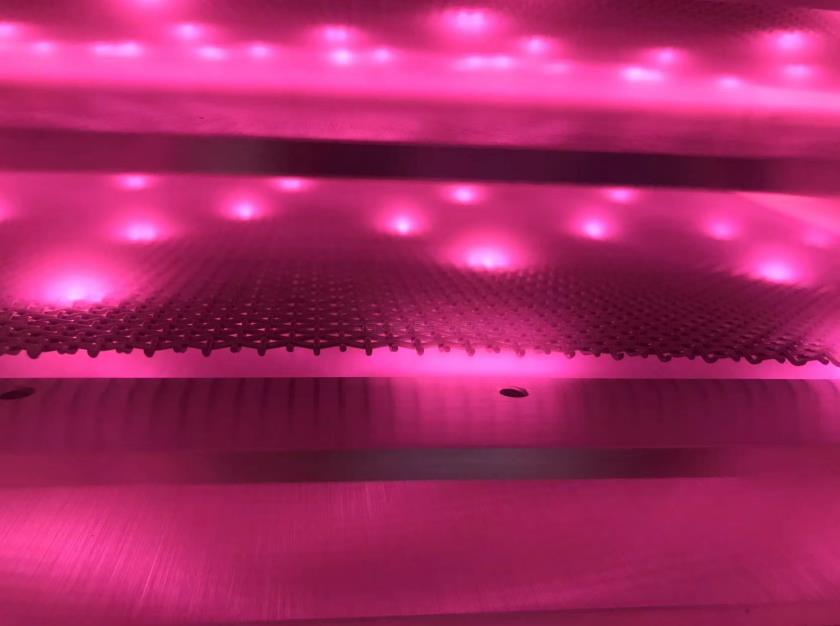 晶圆午夜电影网站机