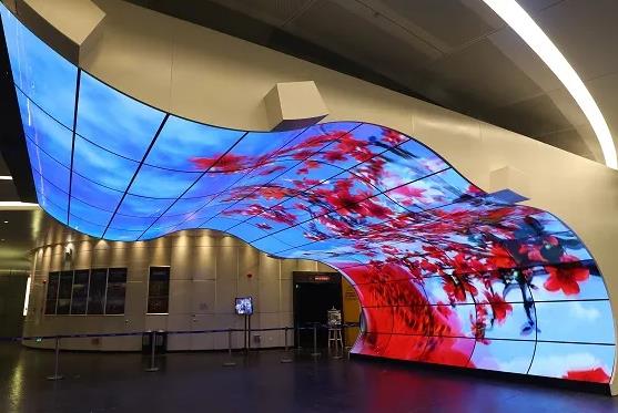 午夜电影网站机