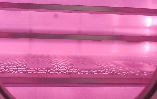 低温日本午夜福利视频APP设备