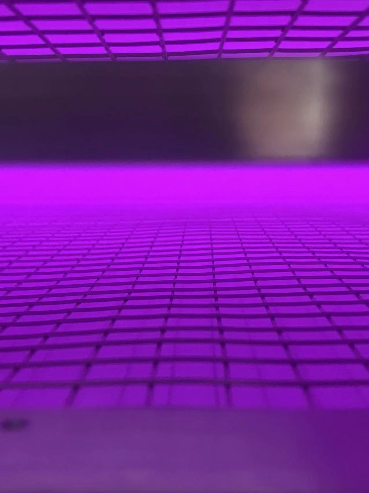 低温午夜电影网站机