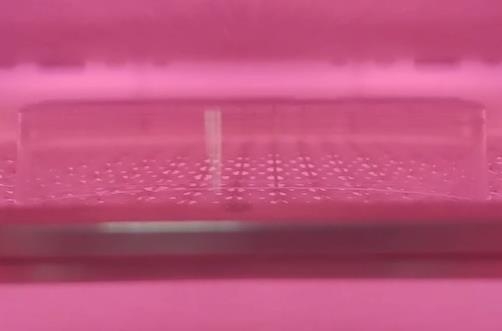 午夜电影网站机