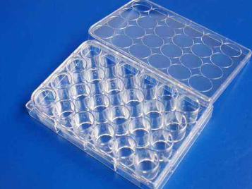 生物培养板等离子处理提升亲水性-午夜精品久久久午夜电影网站机