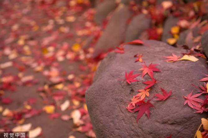 今日立冬，又一重要节气-午夜精品久久久午夜电影网站机