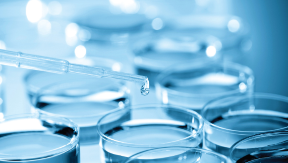 细胞培养皿低温日本午夜福利视频APP-午夜精品久久久午夜电影网站机