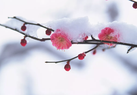 午夜精品久久久午夜电影网站机提醒，今日大寒仍需防寒