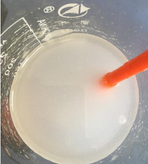 低温等离子处理技术制备变性淀粉-午夜精品久久久日本午夜福利视频APP机