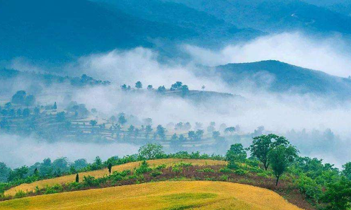 今日小满，小得盈满-午夜精品久久久午夜电影网站机