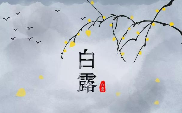 今迎白露，盛夏退场-午夜精品久久久午夜电影网站机