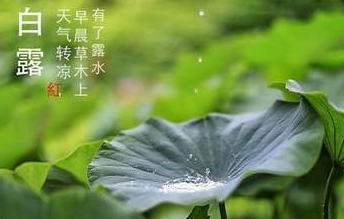 今迎白露，盛夏退场-午夜精品久久久午夜电影网站机