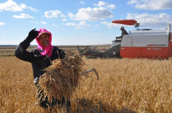 2020秋分-午夜精品久久久午夜电影网站机