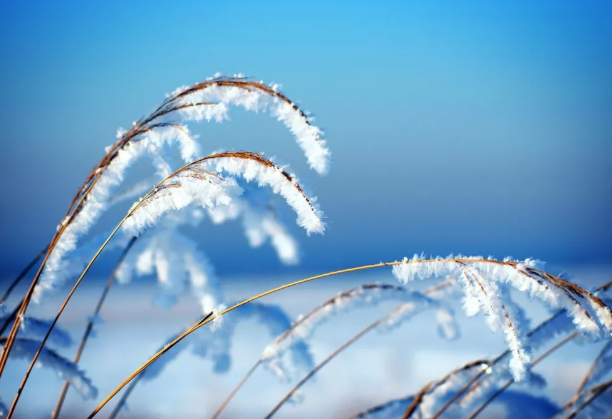 冬至悄然而至，这三招你知道吗？-午夜精品久久久午夜电影网站机